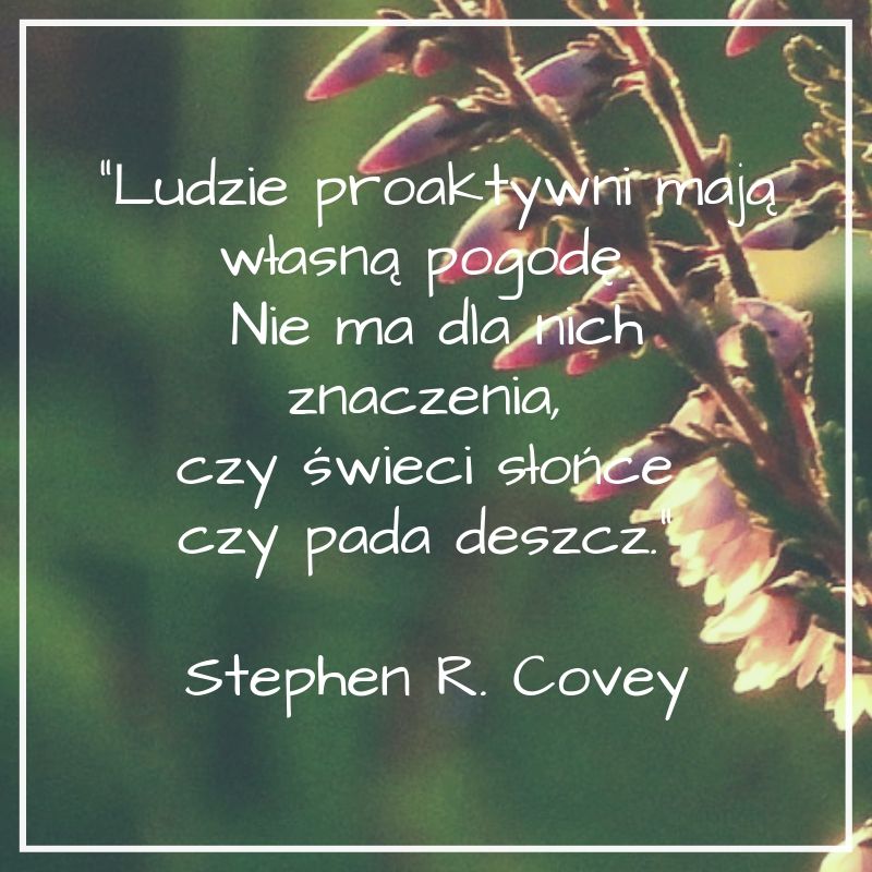 inspirujące cytaty: proaktywność